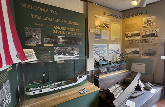 UP Logging Historical Display