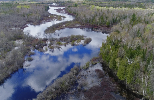 Tahquamenon River